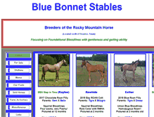 Tablet Screenshot of bluebonnetstables.com